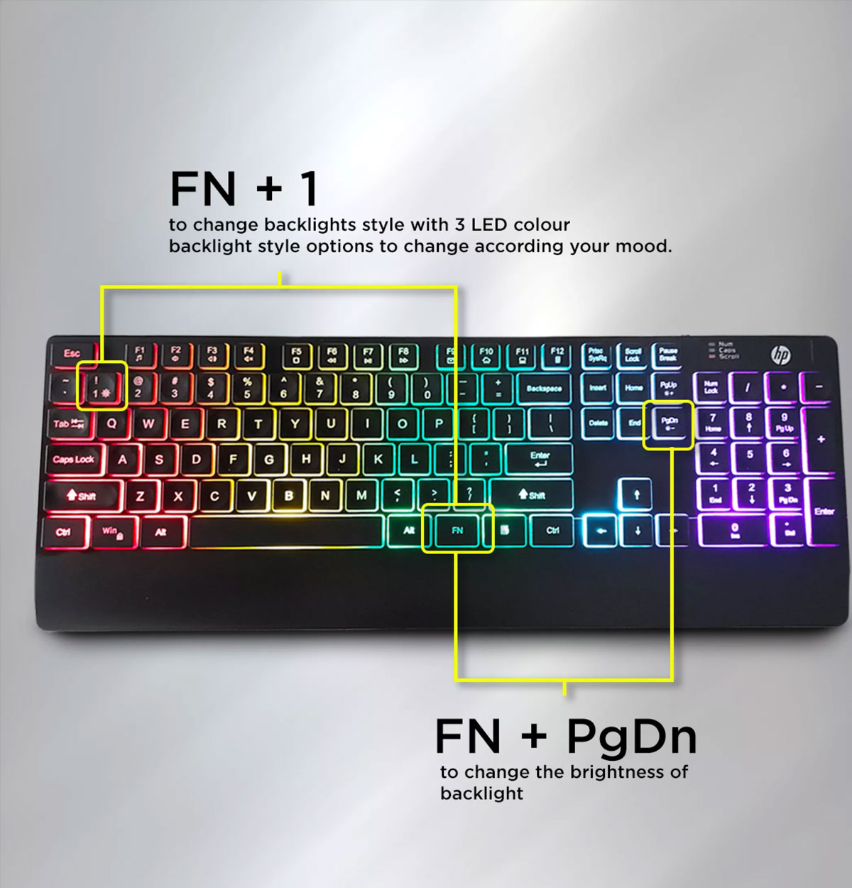 HP K120 Keyboard