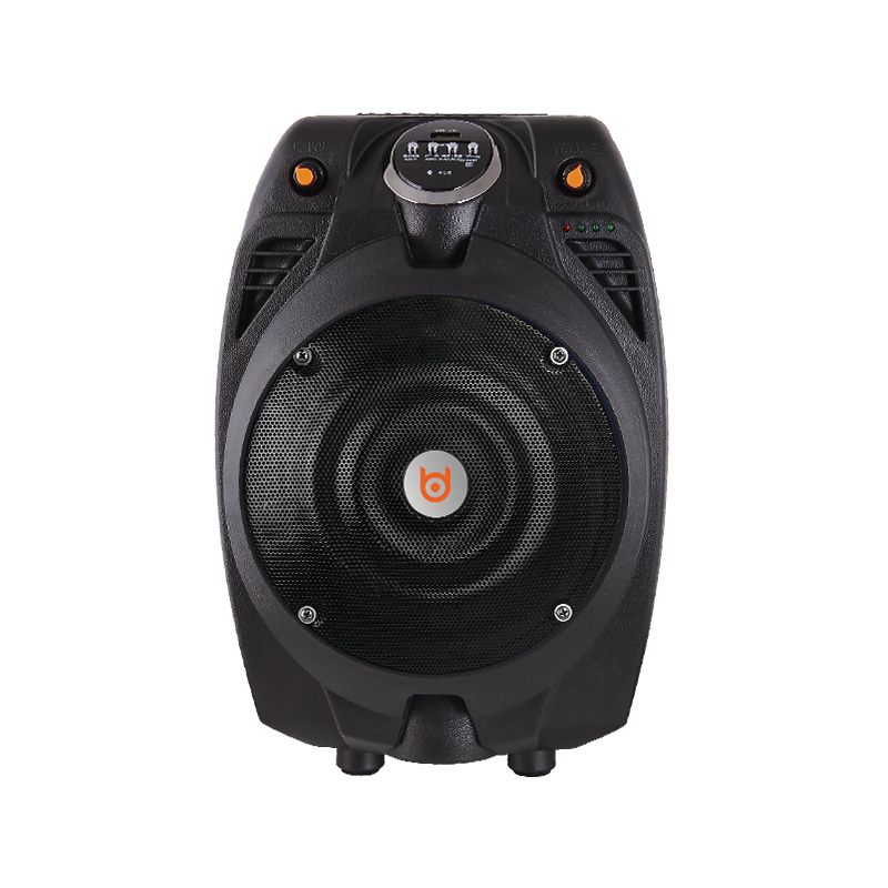 BD X6(BD-H065J) Speaker