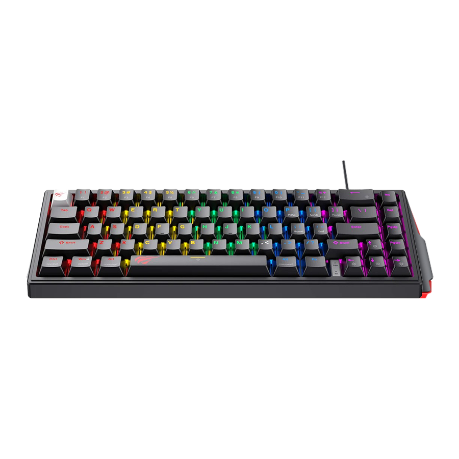 HAVIT KB874L-B Blended Light Wired Mechanical Keyboard