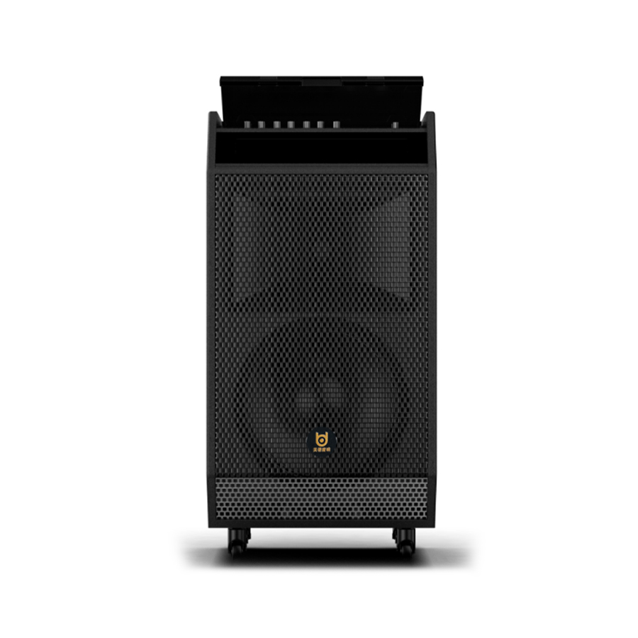 BD SOUND Support U-Band Wireless Microphone
